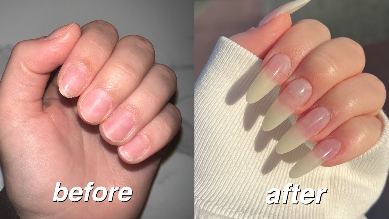 Types of Nail Extensions: Choosing Which Is Best for You – Nail Company  Wholesale Supply, Inc