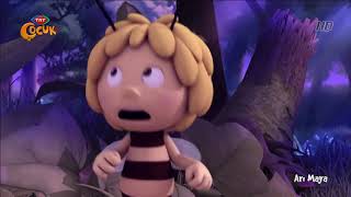 Ari Maya Devlerin Gecesi