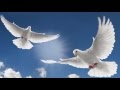 LE VENT souffle où il veut - Vocal by Alliance 🎶
