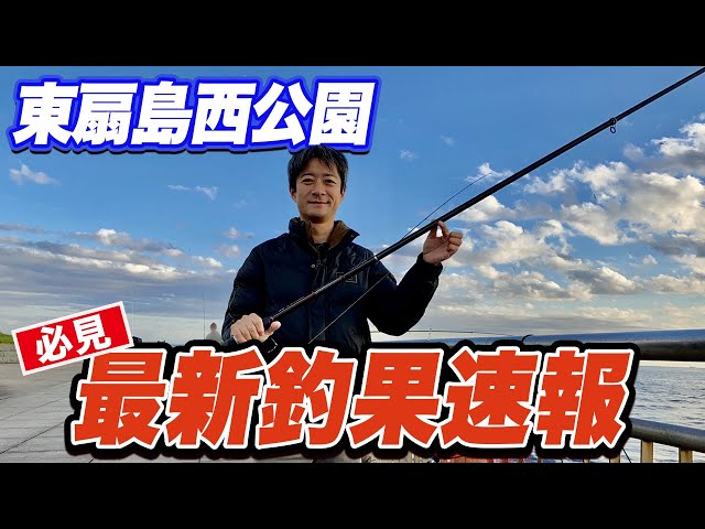 釣り男ページです☆ Higashi-Ogishima West Park] You can catch horse mackerel and large