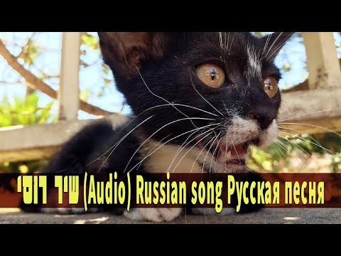 שיר רוסי (Audio) Russian song Русская песня