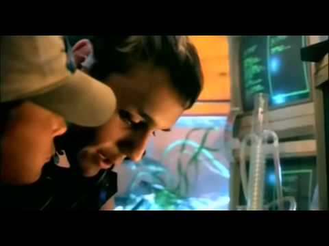 Jam & Spoon Hands On Yello - You Gotta Say Yes To Another Excess