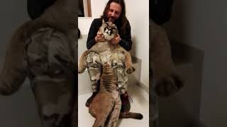 Puma caruso cat Clearance