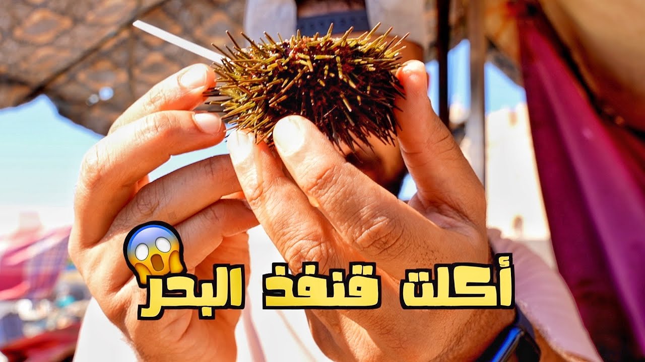 مدينة مغربية لا يأكلون الا السمك🤯 🔥🇲🇦