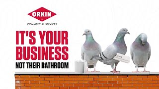 Orkin® Commercial Bird Control Services [CC]