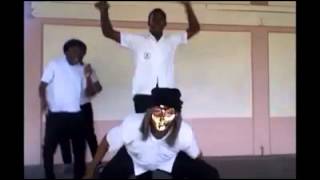 northeastern harlem shake