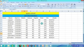 Formula of Sum, Percentage, If Function, Merge & Center MS Excel 2007 Tutorial