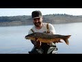 CARPFISHING BARBOS GITANOS EN ALANGE