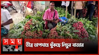 আবহাওয়ার কারণে নষ্ট হচ্ছে লিচু, শঙ্কায় বাগানিরা | Lychee Market | Dinajpur News | Somoy TV screenshot 2
