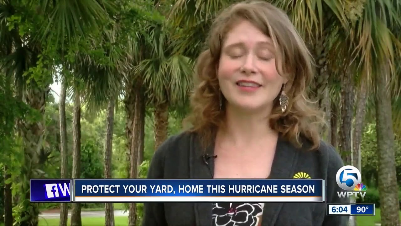 vero beach weather Trash removal companies booming in the wake of Hurricane Barry