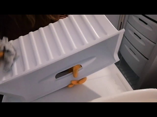 ASMR - Household Cleaning The Freezer Pt. 2 No Talking