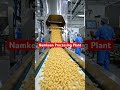 Namkeen Processing Plant |