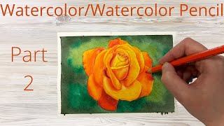 How To Draw/Paint a Rose Using Watercolor & Watercolor Pencils | Real Time Tutorial Part 2