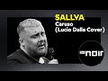 Sallva Caruso Lucio Dalla Cover Live Bei TV Noir mp3