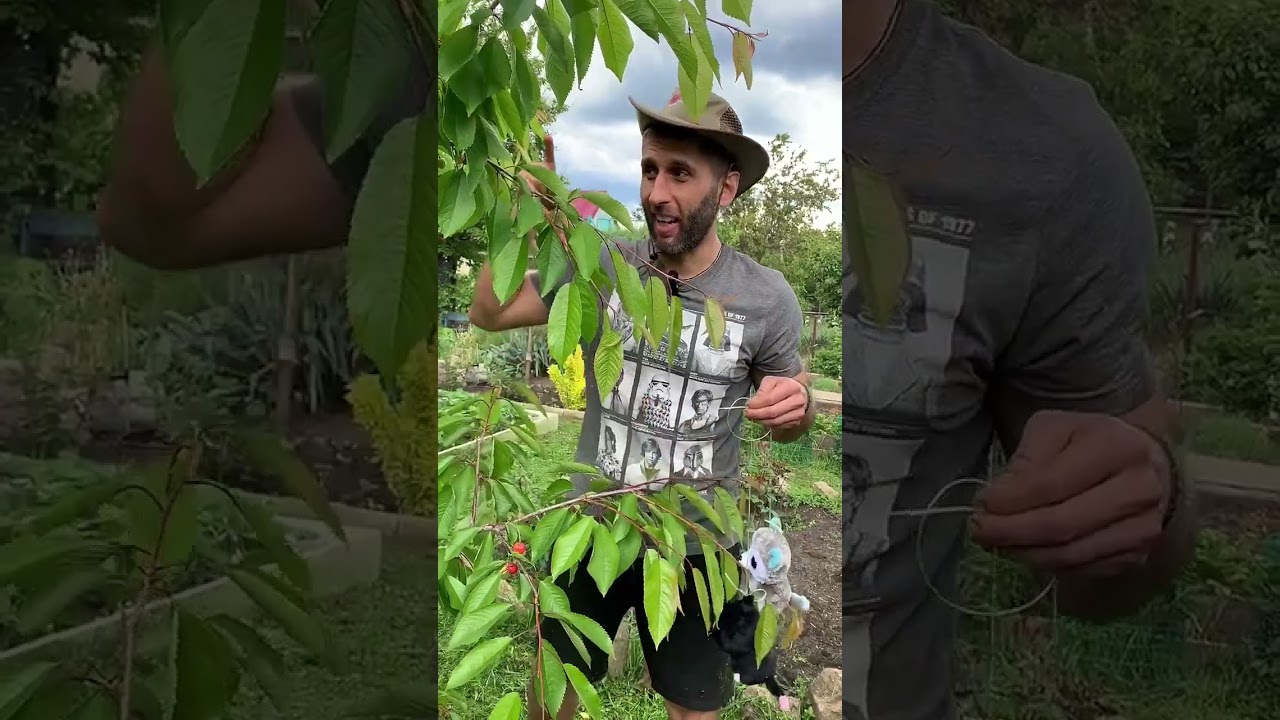 ЛАЙФХАК ОТ ШПАКОВ 