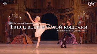 Танец Кота в Сапогах и Белой Кошечки из балета \