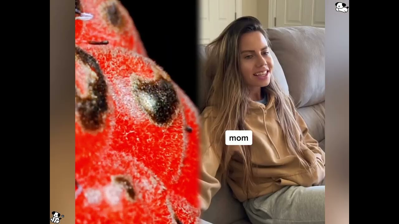 🤣👌👌👌2026 pov Must-Watch Crazy Clips Compilation #humor #fypシ #pov #fyp #foryou 😍😜