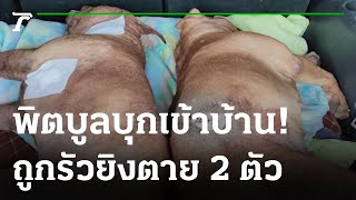 เจ้าของร่ำไห้! พิตบูลถูกยิงตาย 2 ตัว | 23-02-66 | ไทยรัฐนิวส์โชว์