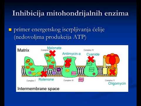 mehanizmi toksi nosti