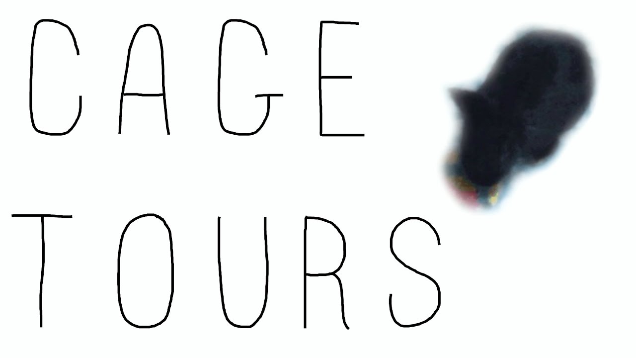 Thunder's Winter/Holiday Cage Tour | Cage Tours