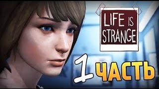 Life is Strange - Эпизод 1: Хризалида #часть 1