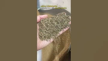 Vegetable seed processing machine /seed pellet pelleting machine  #seedprocessing  #seedsolution