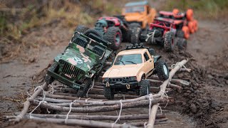 Rc Cars Vs Wooden Bridge  Rc Cars Comparison