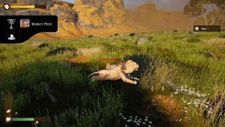 Lion Simulator RPG: Animal Battle Survival_20260312085920 screenshot 5