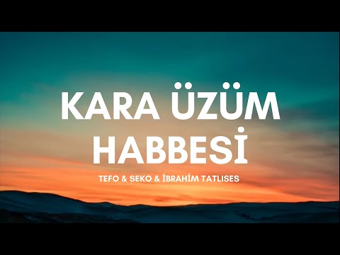 Tefo & Seko & İbrahim Tatlıses - Kara Üzüm Habbesi (Sözleri & Lyrics)