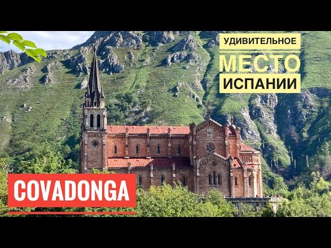 Video: Астурия жылкысы гипоаллергендик, ден-соолук жана өмүр узактыгы