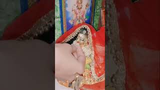 Happy devuthani ekadashi.mini vlog -2for devuthani ekadashi kanhaji seva.kanhadiwaani love viral