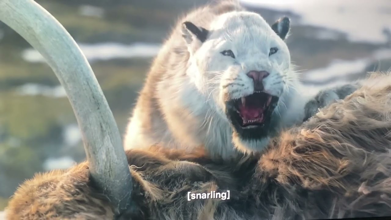 Life on our Planet(Cave lions hunting woolly mammoth) Cilp