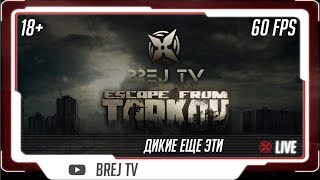 ⭕ Дикие еще эти :: Escape From Tarkov