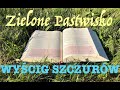 Zielone Pastwisko 21.05.2024 - &quot;WYŚCIG SZCZURÓW&quot; - Mk 9, 30-37 - o. Piotr Kleszcz OFM Conv.