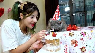 LOKI CAT : Fat Cat Loki Birthday The Little Lady Made Birthday Party Memorable
