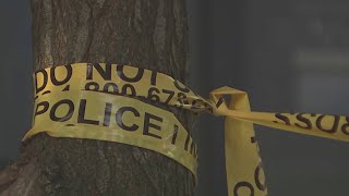 2 dead in quadruple shooting after violent night in DC | NBC4 Washington