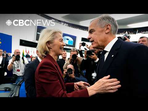 ‘No need' for Canada-EU treaties or trade deal: EU member