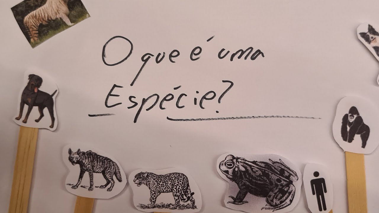 Você sabe o que é uma espécie?