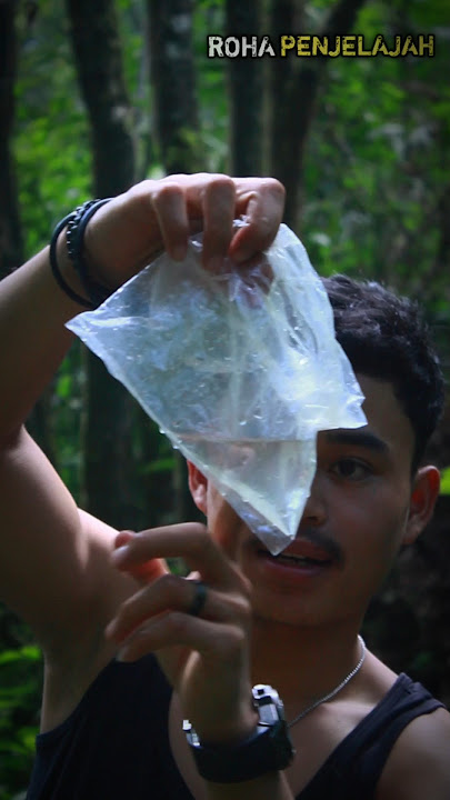 Membajak Air Dari Pohon Tepus Di Tengah Hutan.! #survival #bushcraft #camping