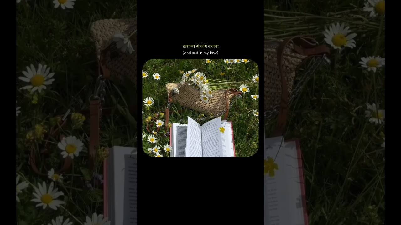 Aankhon Ki Masti Ke Mastane Hazaar | Rekha | Umrao Jaan | Timeless Classic 👀✨️🤌🏻