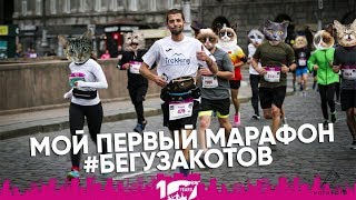 Киев: Мой первый WizzAir Marathon // Лучший забег в Украине // Бегу за котов