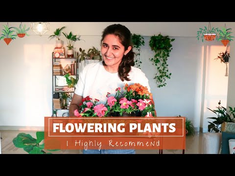 वीडियो: कौन से फूल लगाएं?