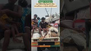 వాళ్లను చూసినంత సేపు కళ్లలో నీరు ఆగలేదు#feedingstreetdogs#doglover#rescuedogs#strays#shortsviral♥️♥️