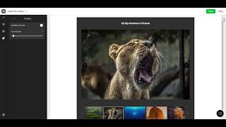 How to Create a Photo Gallery Widget for Your Website using Elfsight