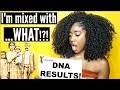 My DNA Results!! What's My Background?| 23andMe