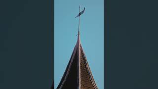 Film profile: Cinestill 50D | Print profile: Fujifilm 3513 #dehancer #colorgrading