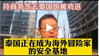 中国人持商务签去泰国也被海关阻拦。泰国正取代中国，成为海外华人冒险家的安全基地（safe house)