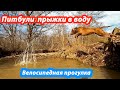 Питбуль прыжки в воду !!! Прогулка на велосипеде