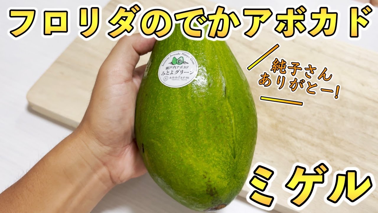 An extremely rare variety] The super large avocado 
