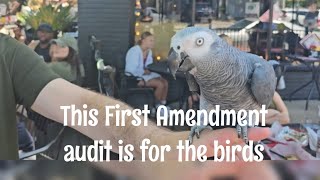First Amendment audit memphis#firstamendmentauditor #tourism